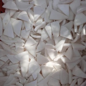 Viande de noix de coco congelée de qualité supérieure, issue de jeunes noix de coco fraîches, en forme de cube entier, de moitié ou en morceaux - Product Image 2