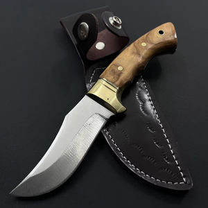 Couteau de chasse et de survie Jexa 4116 en acier inoxydable à lame fixe, bord partiellement dentelé, avec manche en bois d'olivier et étui en cuir - Product Image 1