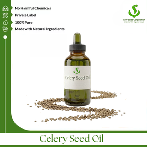 High Quality Celery Seed Oil Bulk Supplier Offering Export Packaging Solutions for Skincare Hair Care Cosmetics Fragrance - Product Image 1