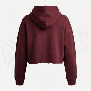 Custom <b>Zipper</b> Pullover Breathable Crop Top Women Hoodies Premium Activewear Streetwear Apparel Design Fashion Trends - Product Image 2