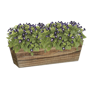 Jardinera rectangular rústica de madera de acacia al por mayor para decoración interior y exterior de Vietnam - Product Image 3