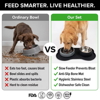 Bol en silicone pour animaux de compagnie, pour chiens et chats, bols d'alimentation pour animaux, bol pour nourriture pour chien avec design anti-déversement et antidérapant