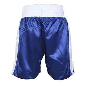 Shorts de boxe Pro-Series bleu royal : Short d'entraînement professionnel pour hommes avec bande latérale contrastante blanche - Service OEM personnalisé pour équipes - Product Image 5
