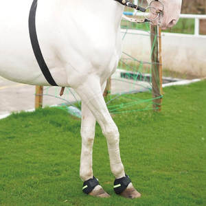 Botas de Montar a Caballo de Cuero con Logotipo Personalizado de Nueva Moda, Botas de Montar a Caballo de Cuero de Buena Calidad al por Mayor - Product Image 5