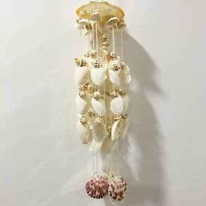 Campana de Viento de Conchas Marinas Naturales, Hecha a Mano, Decoración Colgante de Conchas Costeras, Recuerdo, Regalo para Tienda de Playa, Decoración del Hogar - Product Image 4