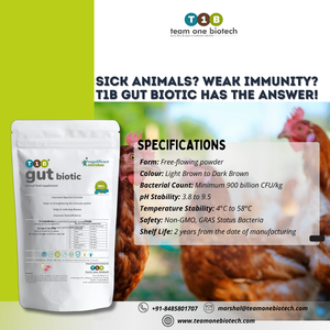 Aditivo alimenticio biótico intestinal para fortalecer el sistema inmunológico - Product Image 4