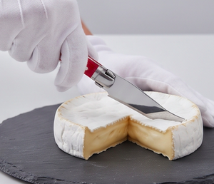 Juego de cuchillos para queso de acero inoxidable de 2 piezas con mangos amarillos y rojos, esparcidor de queso y gancho para queso duro - Product Image 4