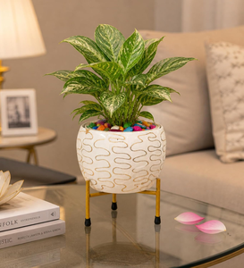 Maceta de Metal Pitalnagi Meenakari Hecha a Mano, Maceta Decorativa para Plantas de Interior y Exterior, Artesanía Tradicional India - Product Image 5