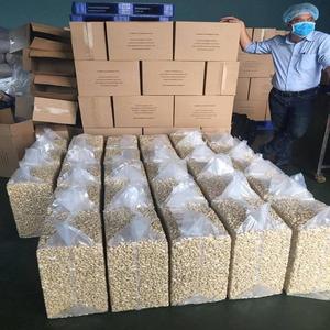 Raw Cashew <b>Kernels</b> Dried Natural Whole <b>Nut</b> Snack BEST GRADE Long Shelf Life for Retail and Food Service - Product Image 3