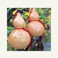 Bouteille sculptée artisanale écologique, souvenir DIY, cadeau d'affaires durable, taille personnalisée, gourde séchée biologique, forme naturelle
