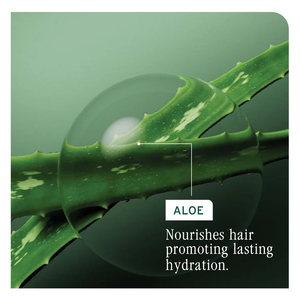 Acondicionador capilar hidratante de albaricoque sin parabenos, hidratación profunda para cabello seco y dañado, cuidado capilar para un cabello suave y manejable, albaricoque intenso. - Product Image 4