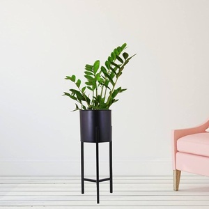 Soportes Minimalistas de Metal para Plantas con Macetas Blancas para Plantas Verdes de Interior, Diseño Geométrico para Decoración Moderna del Hogar - Product Image 2