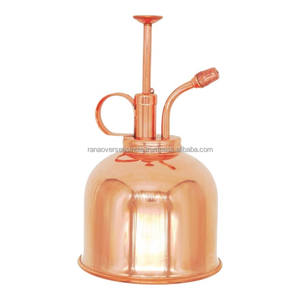 กระบอกฉีดน้ำสแตนเลสขนาดเล็กพร้อมปั๊มด้านบนสำหรับพืชในร่มและสวน - Product Image 3