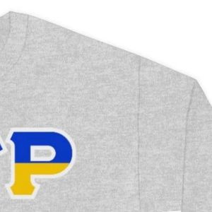 Sudadera de cuello redondo con letras de dos tonos Sigma Gamma Rho, jersey personalizado de hermandad griega, forro polar, estilo casual universitario, venta al por mayor - Product Image 4
