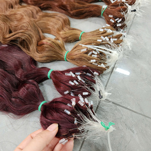 Dernière invention : Extensions de cheveux humains vierges vietnamiens H6, double tirage, ligne invisible, cuticules alignées, micro-boucles, ondulation naturelle, faites à la main - Product Image 1