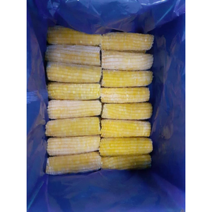 ผู้ผลิตข้าวโพดหวานแช่แข็ง IQF แบบขายส่งจากเวียดนาม พร้อมบริการบรรจุภัณฑ์เพื่อการส่งออก - Product Image 3