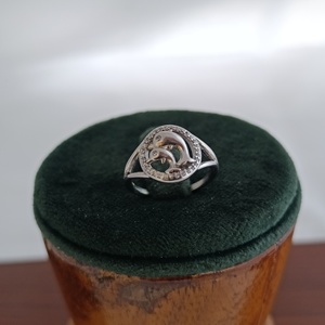 Anillo de Plata de Ley 925 con Diseño de Delfín y Halo de Circonita Cúbica, Estilo Animal Marino, Regalo de Moda para Mujer - Product Image 1