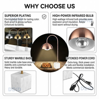 Lampe chauffante électrique infrarouge 250W avec base en marbre pour buffet, idéale pour hôtels, restaurants et usage commercial
