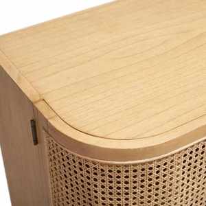 Premium Rattan with High Quality Material Living Room Cabinet Modern Slab Doors Ample Storage Compartments - Product Image 6