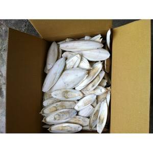 ปลาหมึกอบแห้งสีขาว - Product Image 5