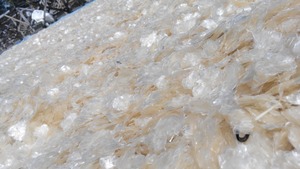 เกล็ดปลา ผลิตภัณฑ์ส่งออกยอดนิยม วัตถุดิบทางทะเลธรรมชาติ เวียดนาม - Product Image 2