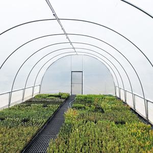 Los invernaderos agrícolas con película de PE retienen el calor y transmiten la luz, aumentan significativamente los rendimientos - Product Image 3