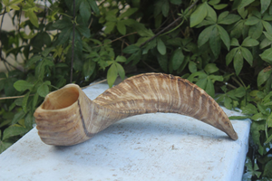 ที่ไม่ซ้ำกันธรรมชาติแกะฮอร์น shofar jews Horn เป็นมิตรกับสิ่งแวดล้อมปรับแต่งขนาด - Product Image 5