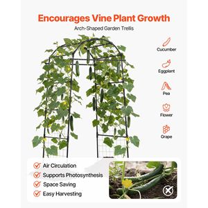 Elegante Soporte Metálico en Forma de U para Pepinos, Arco para Plantas Trepadoras en Macizos Elevados y Jardines Exteriores para Guisantes - Product Image 4