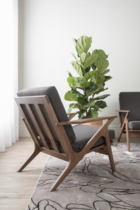 Luxury Bentwood <b>Frame</b> 1-Seater <b>Sofa</b> with Sculptural Z- Arm <b>Frame</b> and Tapered Solid <b>Wood</b> Legs for Modern Lounge and Living Room - Product Image 3