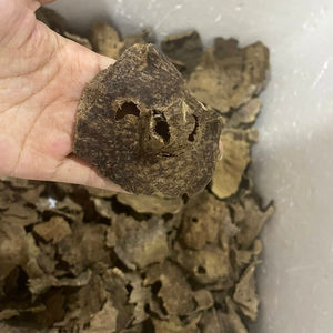 Copeaux de bois d'agar (Oud) sélectionnés dans le cœur de l'arbre, résistants aux dommages - Product Image 2