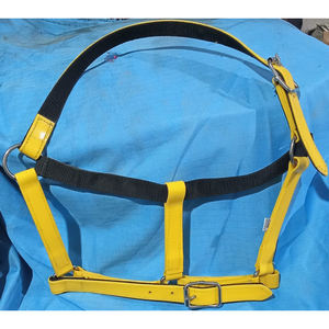 À VENDRE PVC SANGLE CHEVAL AVEC RACCORD ROUILLANT POUR ÉQUITATION ARABE COULEUR BLEU EN DOLLAR 4 CARTE DE CRÉDIT ACCEPTÉE - Product Image 3