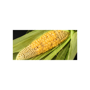 Maíz Amarillo para la Industria Alimentaria, Grano de Alta Calidad para Uso en Aves de Corral y Ganado - Product Image 6