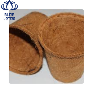 Maceta de Fibra de Coco Ecológica para Jardinería, Vietnam 2026, Precio Económico - Product Image 1