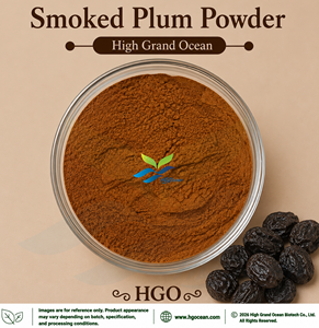 Poudre de prune fumée pure et naturelle (qualité alimentaire) séchée par pulvérisation ou lyophilisée, fournie directement par l'usine HGO - Product Image 1