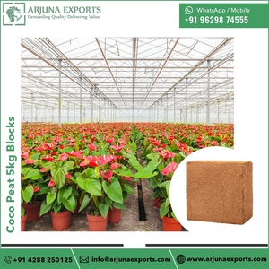 Produit tendance 2025 de blocs de 5kg forme de tourbe de noix de coco ou de moelle de coco au meilleur prix - Product Image 6