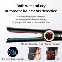 Styler multi-usages professionnel pour salon, 2 en 1, airstyler, séchage à l'air, séche-cheveux, fer à lisser, lisseur de cheveux avec air