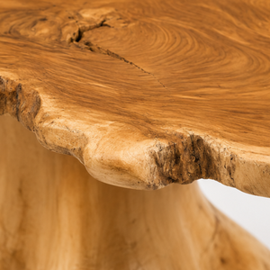 ARTERRA Luxury Modern Irregular Stump Accent <b>Coffee</b> <b>Table</b> Teak <b>Root</b> Organic Salvaged Wood Living Room Furniture - Product Image 5