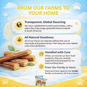 OEM/ODM ขายส่งแท่งเคี้ยวทำความสะอาดฟันสุนัขจากธรรมชาติ แท่งบูลลี่สติ๊กแบบถักตามสั่ง เสริมสร้างกล้ามเนื้อ โปรตีนสูง ช่วยทำความสะอาดฟันและฝึกสุนัข - Product Image 6