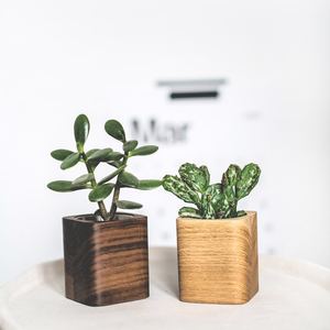 Grand pot à fleurs carré en bois moderne, écologique, pour la décoration de la maison, du jardin, de l'hôtel, ou de la table. - Product Image 3