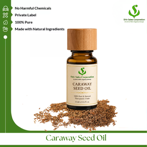 Premium Caraway Seed Oil for Aromatic Product Manufacturing and International Industrial Supply Chain Packaging Services - Product Image 1