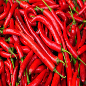 Nueva Temporada de Chiles Rojos Indios Enteros, Cápsulas Secas Seleccionadas para Importadores Internacionales que Buscan una Solución Confiable para la Adquisición de Especias al por Mayor - Product Image 2