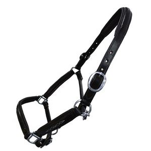 Cabestros de sillín inglés de nailon de India Tipo de cuerda Cabestro de nailon económico y barato - Product Image 6