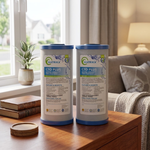 Filtro de Agua de Bloque de Carbón Ecológico Catalítico de Alta Densidad Activado para Máxima Defensa Contra el Cloro - Product Image 1