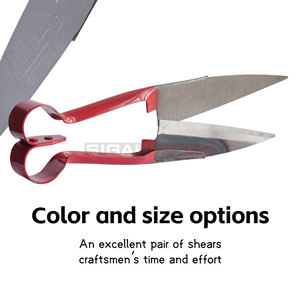 Cisailles à ongles de mouton en acier inoxydable allemandes, coupe-ongles de 10 et 12 pouces, outils de toilettage manuels robustes pour chevaux, seringues vétérinaires - Product Image 3