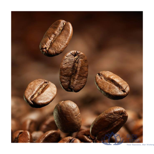 เมล็ดกาแฟโรบัสต้าดาคลักเวียดนามขายดีที่สุด คุณภาพสูง คั่วกลาง รสหวาน กลิ่นหอมเข้มข้น เพิ่มพลังงาน - Product Image 1