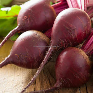Remolacha Roja Fresca Premium, Vegetal Orgánico en Grandes Cantidades, Precio por Unidad, Remolacha Roja Natural de Seis Estaciones, Agro Traders - Product Image 3