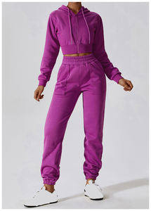 Ensemble de survêtement décontracté pour femmes, 2 pièces, haut zippé et pantalon à taille élastique, survêtement coupe-vent pour femmes, ensemble de survêtement de haute qualité - Product Image 3