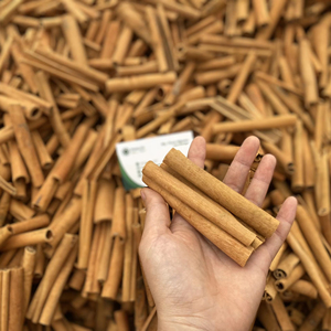 High Quality Vietnam Stick Cassia Cinnamon Wholsale Low Price Spicy Taste Raw Dried Processing for Export - Product Image 1