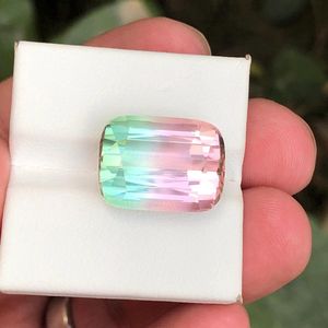 Turmalina bicolor natural, piedra preciosa de turmalina bicolor natural, origen Afganistán, cristal de sandía para la fabricación de joyas. - Product Image 1