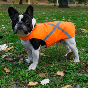 Gilet de sécurité réfléchissant haute visibilité pour chien, imperméable, orange, pour chiens de petite, moyenne et grande taille, vente en gros OEM - Product Image 3
